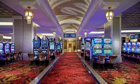 gambling casinos in tampa florida